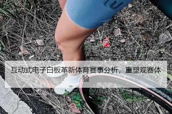 互动式电子白板革新体育赛事分析,重塑观赛体验