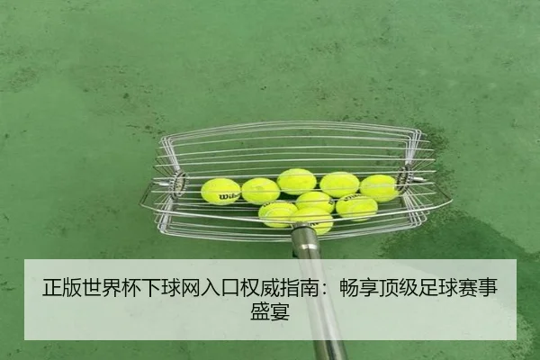 正版世界杯下球网入口权威指南:畅享顶级足球赛事盛宴